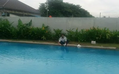 Jasa Perawatan Kolam Renang Bekasi Jawa Barat